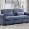 Nichelle Sleeper Sofa -Chairs Sales Store 55565 sofa 1