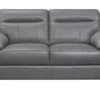 Denizen Loveseat (Dark Gray) -Chairs Sales Store 9537DGY 2 loveseat 1
