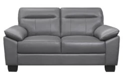 Denizen Loveseat (Dark Gray)