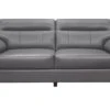 Denizen Sofa (Dark Gray) -Chairs Sales Store 9537DGY 3 sofa 1