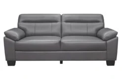 Denizen Sofa (Dark Gray)