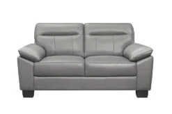 Denizen Loveseat (Gray)