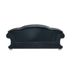Apolo Sofa (Black) -Chairs Sales Store APOLO3BLACK sofa black 3